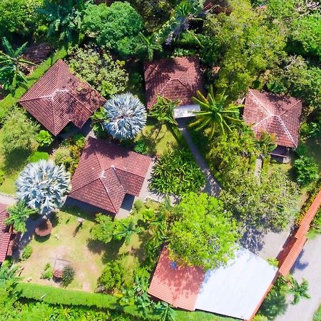 Casa Marcellino Lodge Cahuita Esterno foto