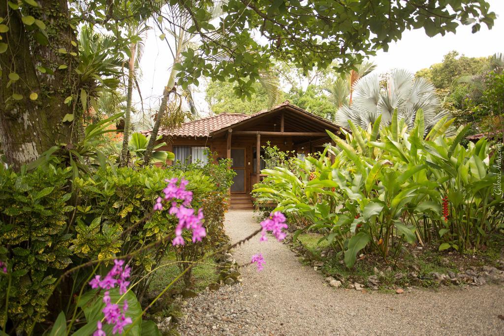 Casa Marcellino Lodge Cahuita Esterno foto