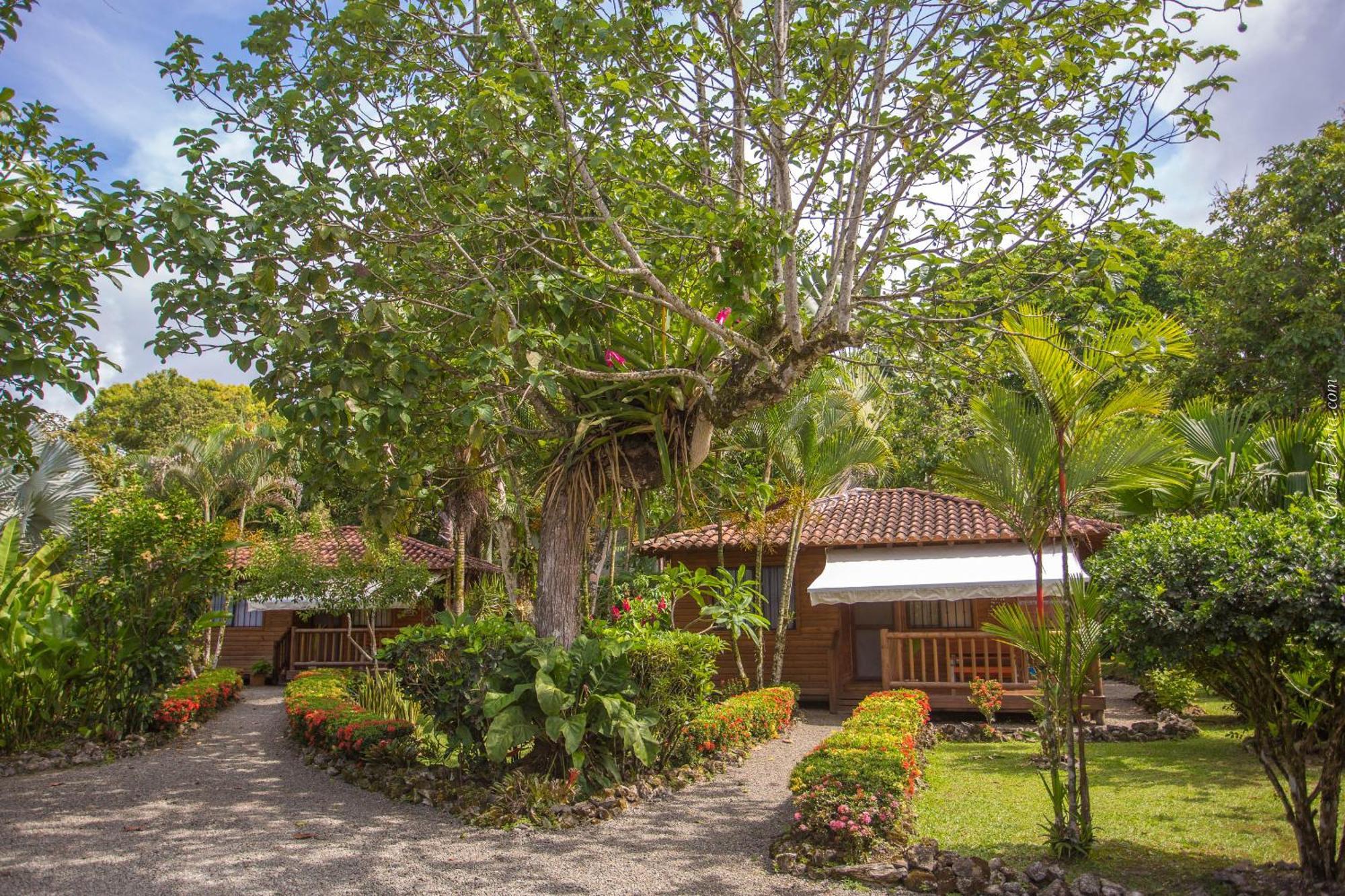 Casa Marcellino Lodge Cahuita Esterno foto