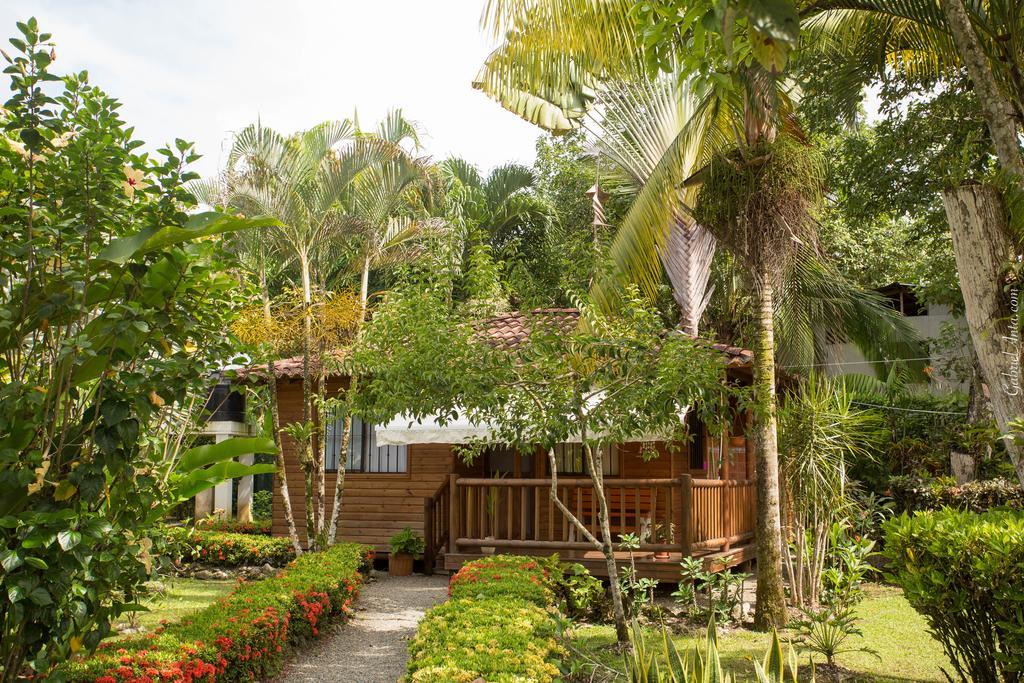 Casa Marcellino Lodge Cahuita Esterno foto