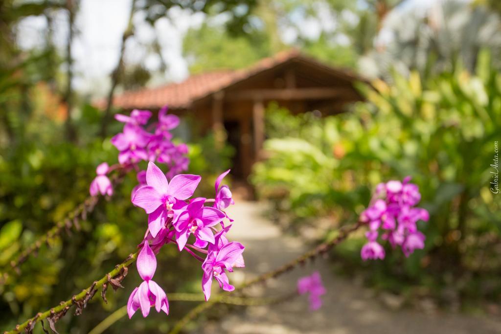Casa Marcellino Lodge Cahuita Esterno foto