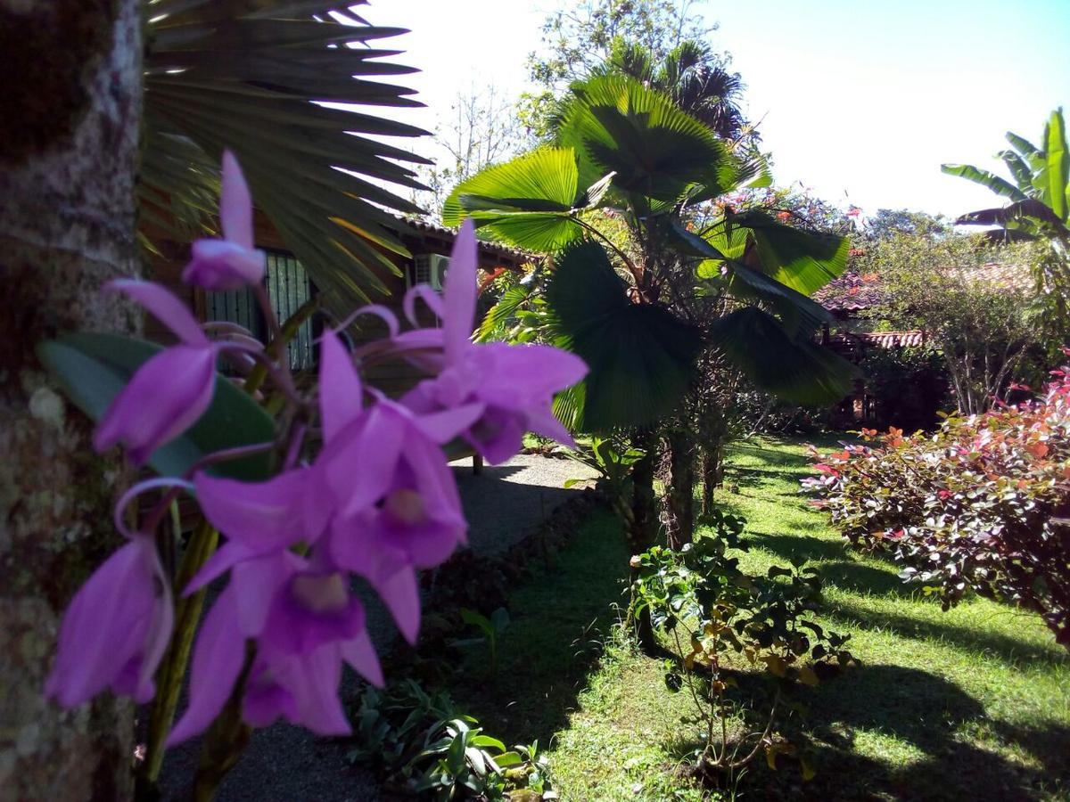 Casa Marcellino Lodge Cahuita Esterno foto