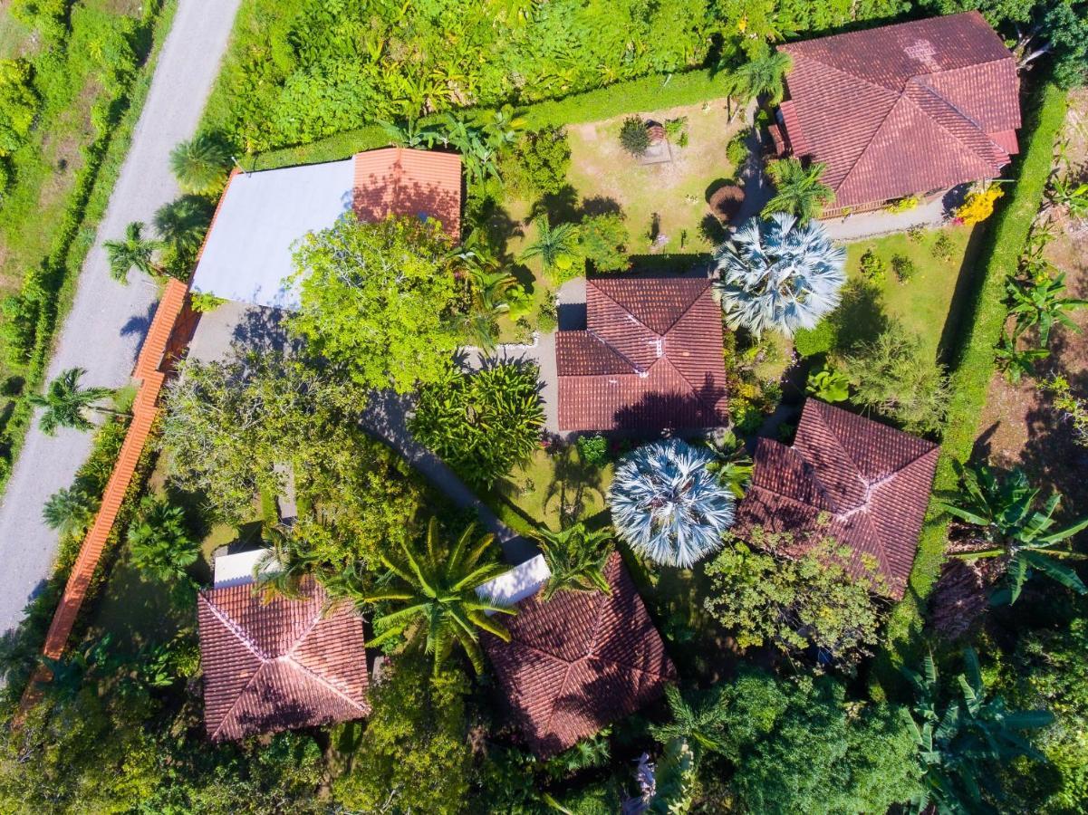 Casa Marcellino Lodge Cahuita Esterno foto